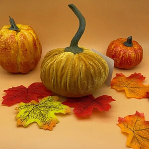 FLORA BUNDA Gold Large 6" Velvet Pumpkin 🎃